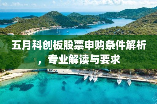 五月科創板股票申購條件解析，專業解讀與要求