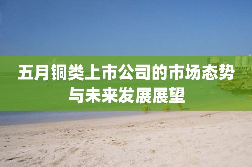 五月銅類上市公司的市場態(tài)勢與未來發(fā)展展望