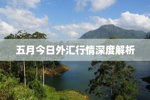 五月今日外匯行情深度解析