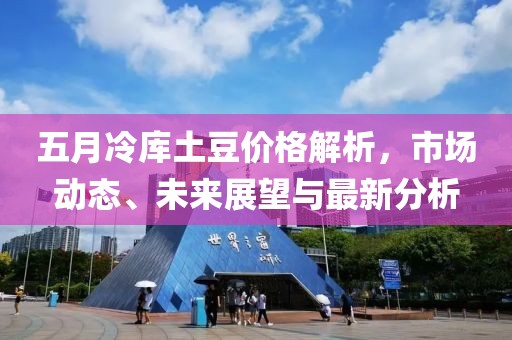 五月冷庫土豆價格解析，市場動態、未來展望與最新分析
