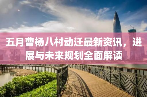五月曹楊八村動遷最新資訊，進展與未來規劃全面解讀