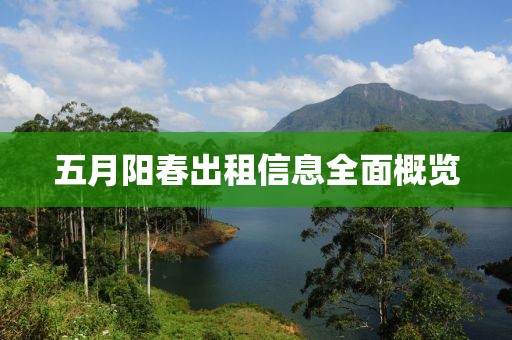五月陽春出租信息全面概覽