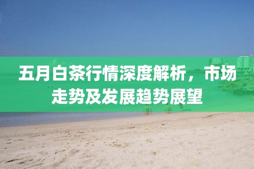 五月白茶行情深度解析，市場走勢及發(fā)展趨勢展望