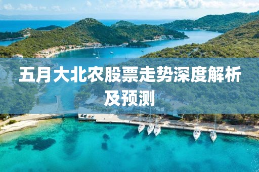 五月大北農股票走勢深度解析及預測