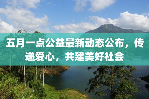 五月一點公益最新動態公布，傳遞愛心，共建美好社會