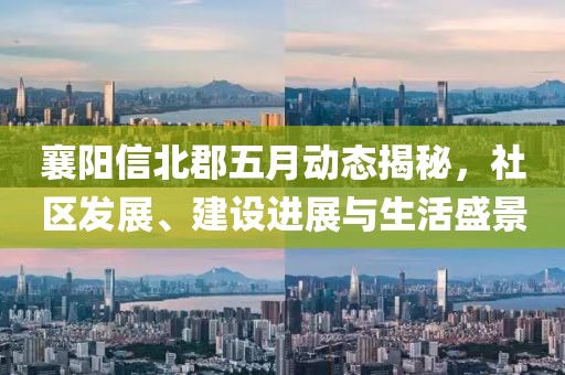 襄陽(yáng)信北郡五月動(dòng)態(tài)揭秘，社區(qū)發(fā)展、建設(shè)進(jìn)展與生活盛景