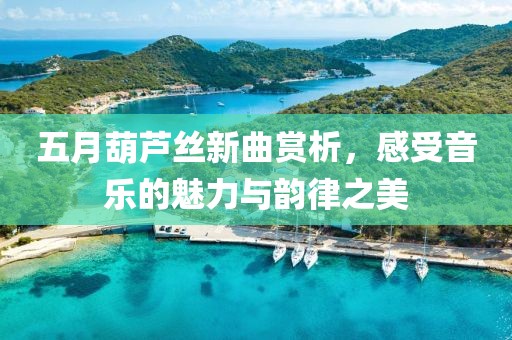 五月葫蘆絲新曲賞析，感受音樂的魅力與韻律之美