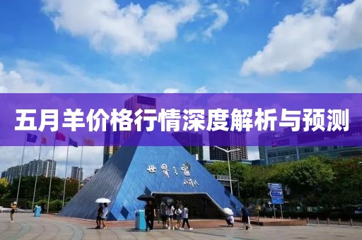 五月羊價格行情深度解析與預測
