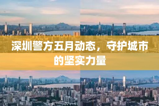 深圳警方五月動態(tài)，守護城市的堅實力量
