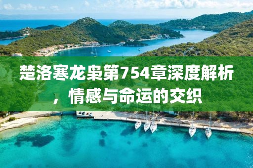 楚洛寒龍梟第754章深度解析，情感與命運的交織