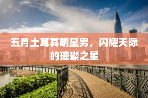 五月土耳其明星男，閃耀天際的璀璨之星