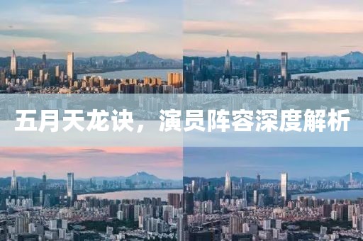 五月天龍?jiān)E，演員陣容深度解析