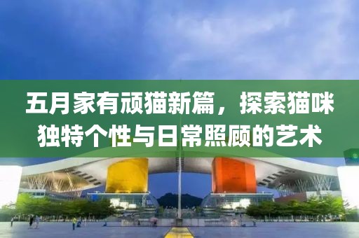 五月家有頑貓新篇，探索貓咪獨特個性與日常照顧的藝術