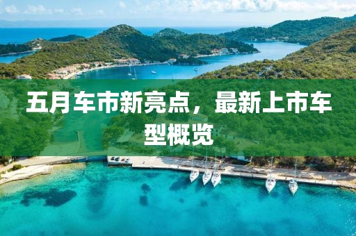 2025年6月15日 第4頁