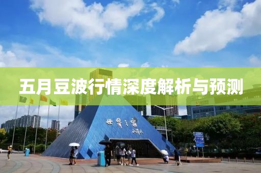 五月豆波行情深度解析與預測