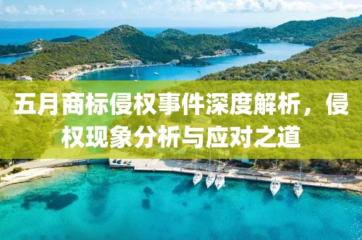 五月商標侵權事件深度解析，侵權現象分析與應對之道