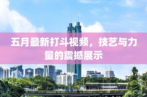 五月最新打斗視頻，技藝與力量的震撼展示