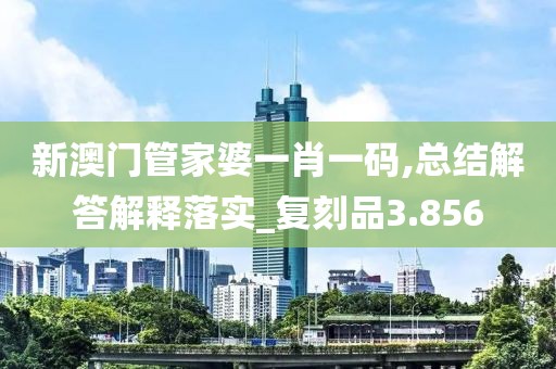 新澳門管家婆一肖一碼,總結解答解釋落實_復刻品3.856