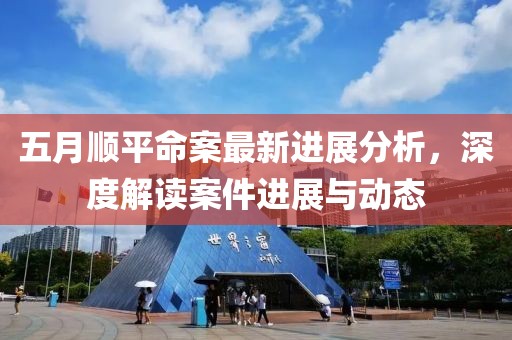 五月順平命案最新進展分析，深度解讀案件進展與動態