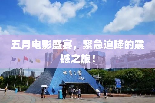 五月電影盛宴，緊急迫降的震撼之旅！