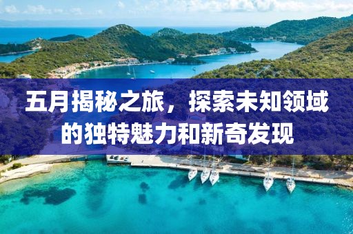 五月揭秘之旅，探索未知領域的獨特魅力和新奇發現