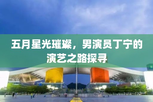 五月星光璀璨，男演員丁寧的演藝之路探尋