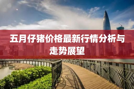 五月仔豬價格最新行情分析與走勢展望