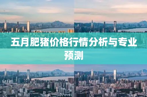 五月肥豬價(jià)格行情分析與專業(yè)預(yù)測(cè)