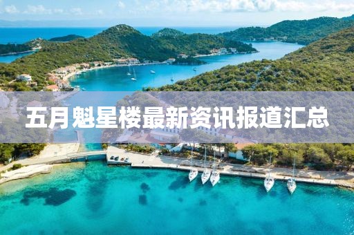 五月魁星樓最新資訊報道匯總
