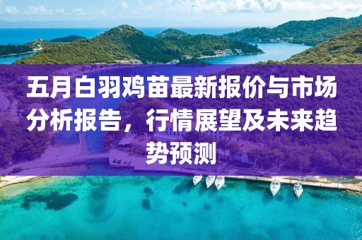 五月白羽雞苗最新報價與市場分析報告，行情展望及未來趨勢預測