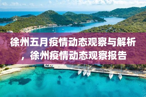 徐州五月疫情動態觀察與解析，徐州疫情動態觀察報告