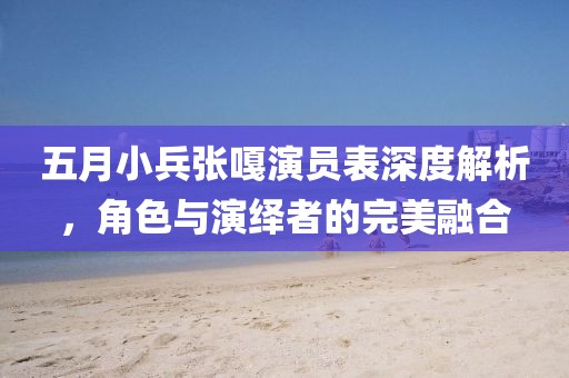 五月小兵張嘎演員表深度解析，角色與演繹者的完美融合
