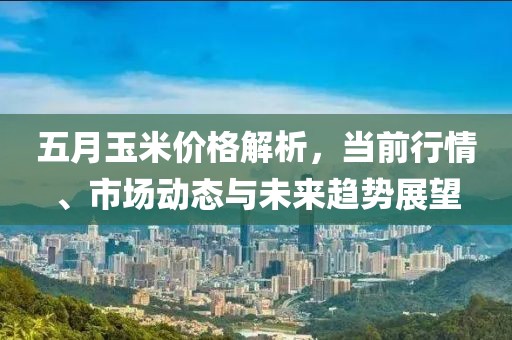 五月玉米價(jià)格解析，當(dāng)前行情、市場動態(tài)與未來趨勢展望