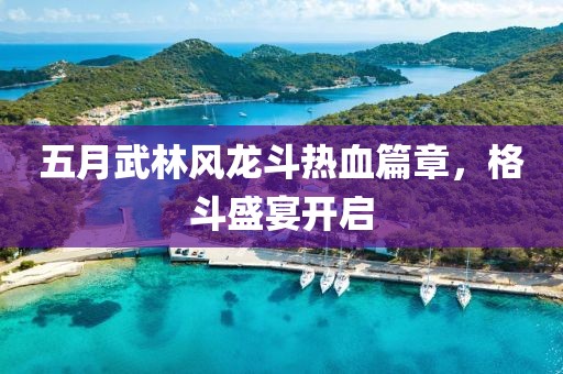 五月武林風龍斗熱血篇章，格斗盛宴開啟