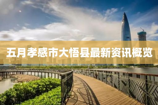 五月孝感市大悟縣最新資訊概覽
