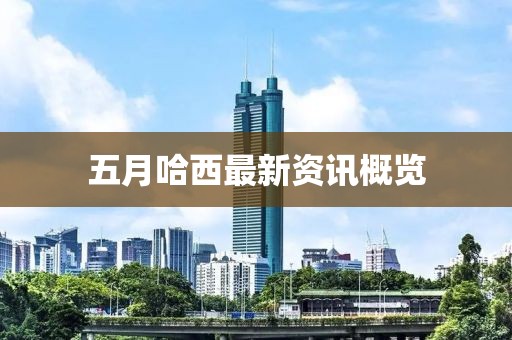 五月哈西最新資訊概覽