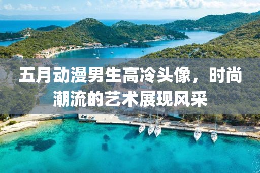 五月動漫男生高冷頭像，時尚潮流的藝術展現風采