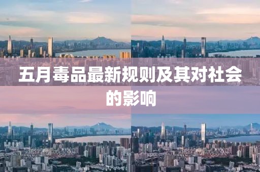 五月毒品最新規則及其對社會的影響