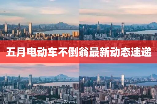 云鵬路路通汽車服務 第12頁