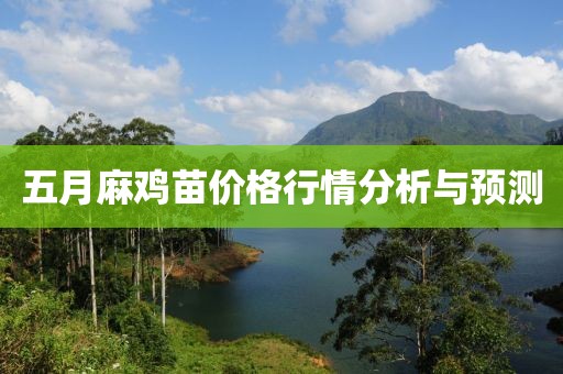 五月麻雞苗價格行情分析與預測