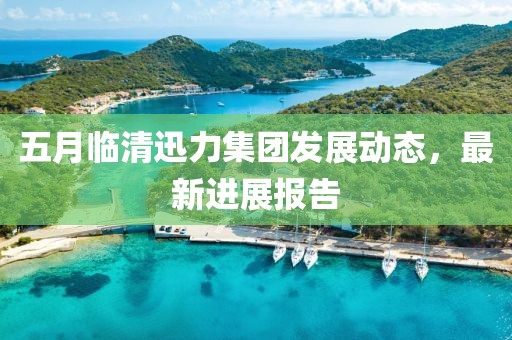 五月臨清迅力集團發展動態，最新進展報告