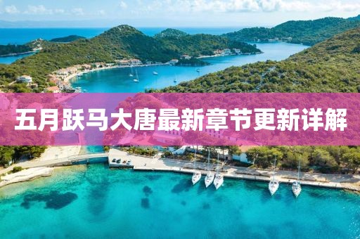 五月躍馬大唐最新章節(jié)更新詳解