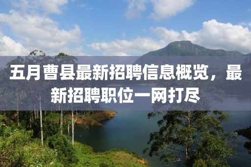 五月曹縣最新招聘信息概覽，最新招聘職位一網(wǎng)打盡