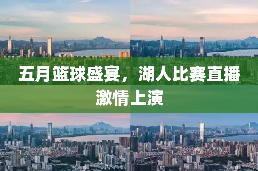 五月籃球盛宴，湖人比賽直播激情上演