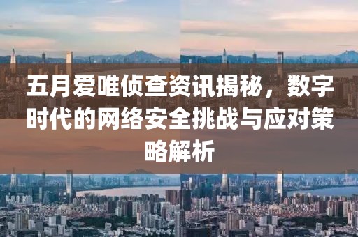 五月愛唯偵查資訊揭秘，數字時代的網絡安全挑戰與應對策略解析