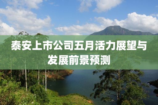 泰安上市公司五月活力展望與發展前景預測