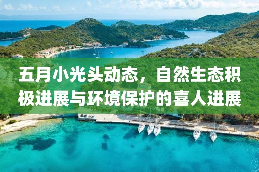 五月小光頭動態，自然生態積極進展與環境保護的喜人進展