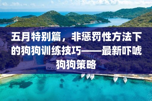 五月特別篇，非懲罰性方法下的狗狗訓練技巧——最新嚇唬狗狗策略
