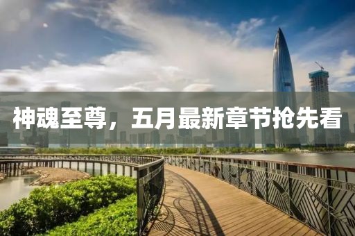 神魂至尊，五月最新章節搶先看