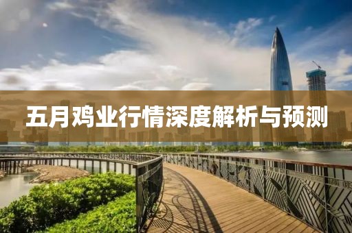 五月雞業(yè)行情深度解析與預(yù)測